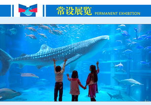 日本大阪海游馆门票 日本必游水族馆 陆上海洋馆 可选机场柜台取票或难波站取票