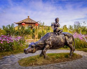 山东 临沂 龙园旅游区电子票 龙园旅游区欢迎您 下单2小时方可使用 未用可退